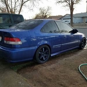 Meet your Posher, Joey